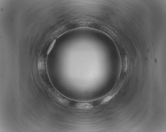 X0000068260137200604211054