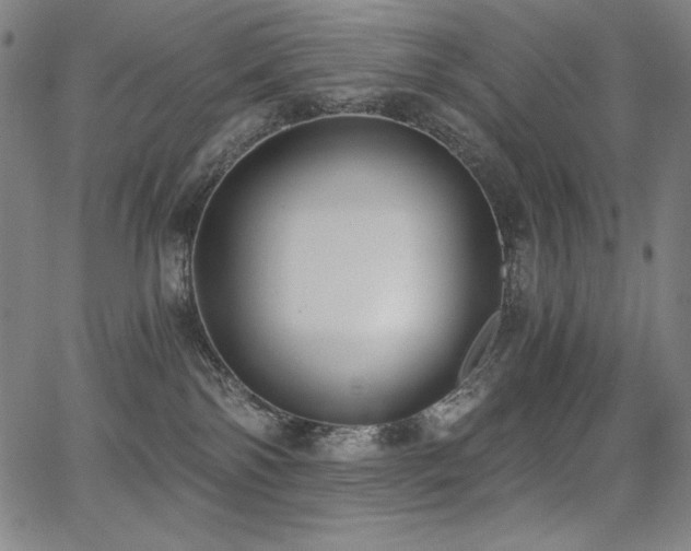 X0000068260138200604211054