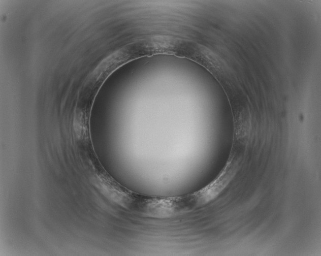 X0000068260140200604211054