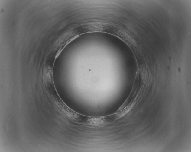 X0000068260141200604211054