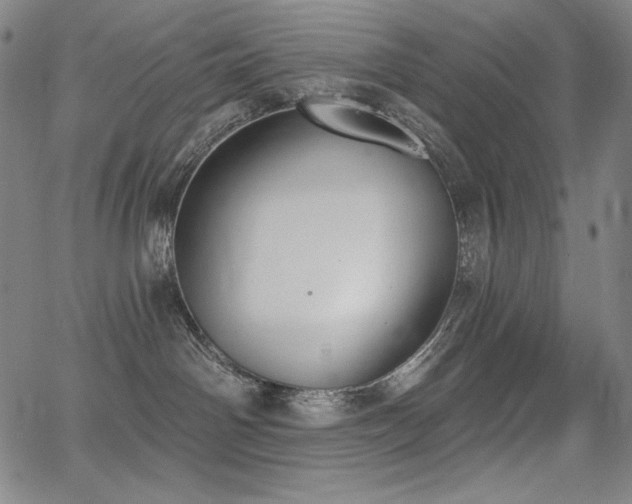 X0000068260142200604211054