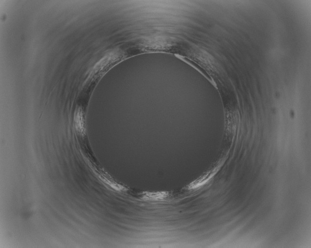 X0000068260143200604211054