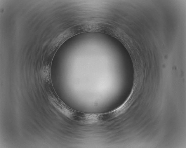 X0000068260144200604211054