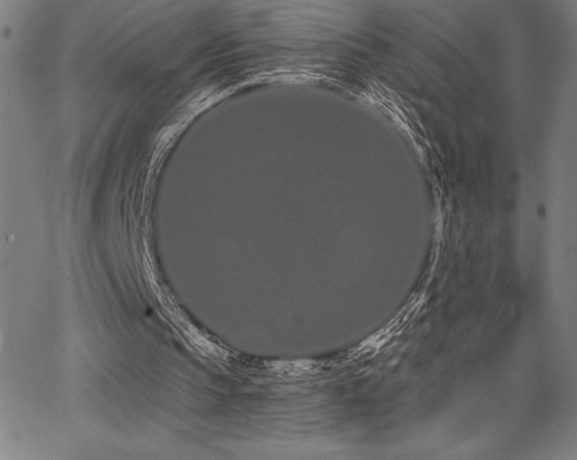 X0000068260145200604211053