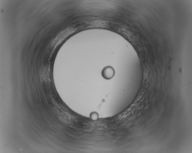 X0000068260146200604211053