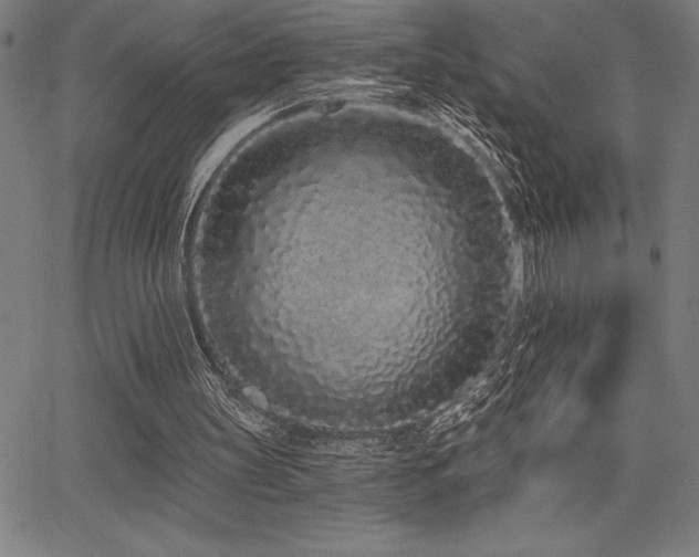 X0000068260147200604211053