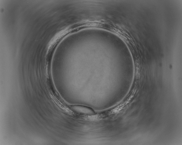 X0000068260149200604211053