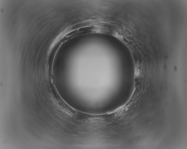 X0000068260150200604211053