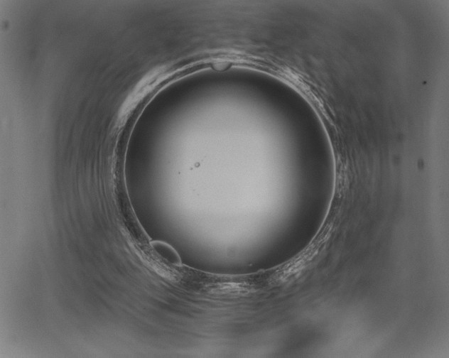 X0000068260151200604211053