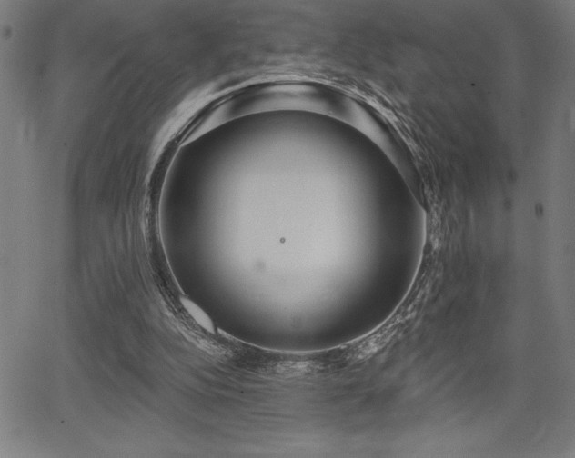 X0000068260152200604211053