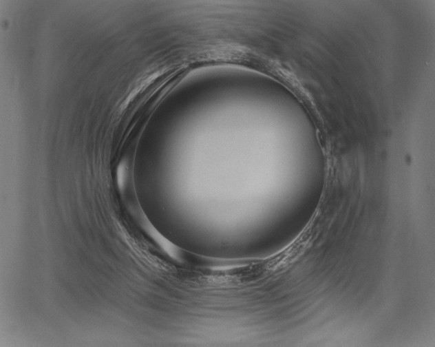 X0000068260154200604211053