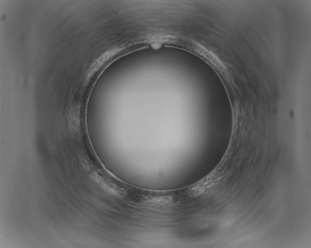 X0000068260155200604211053