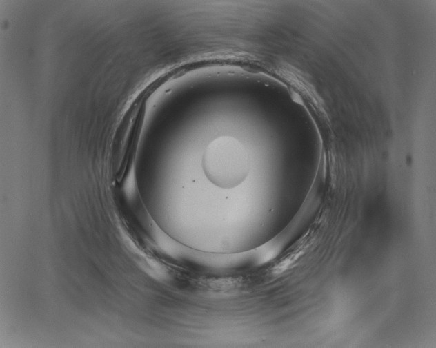 X0000068260156200604211053