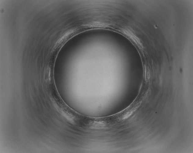 X0000068260157200604211053