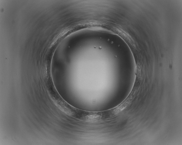 X0000068260158200604211053