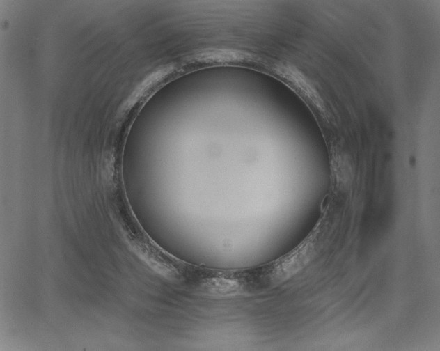 X0000068260159200604211053