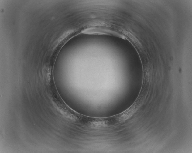 X0000068260160200604211053