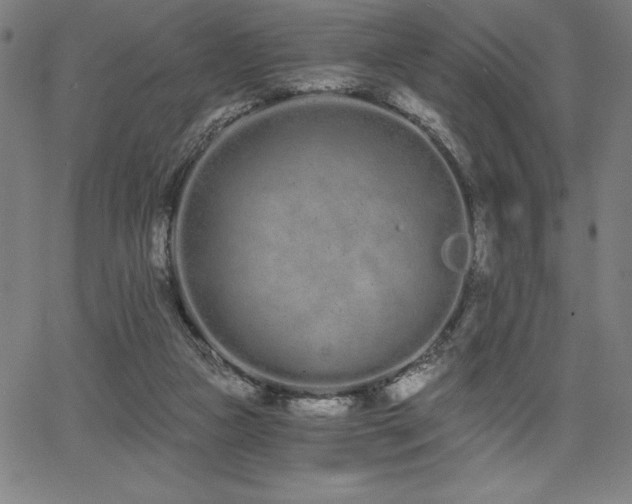 X0000068260161200604211053