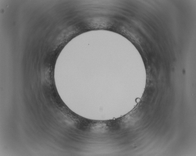 X0000068260162200604211053