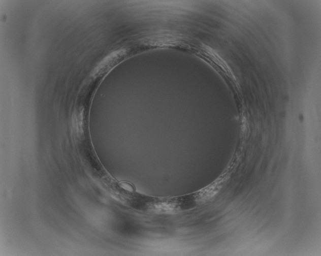 X0000068260163200604211054