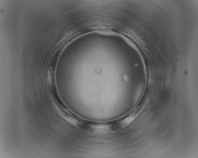 X0000068260165200604211054