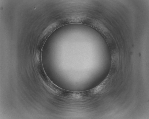 X0000068260166200604211054