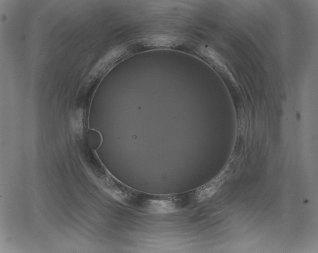 X0000068260167200604211054