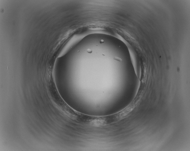 X0000068260168200604211054