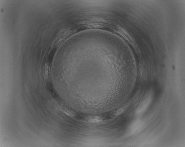 X0000068260169200604211054