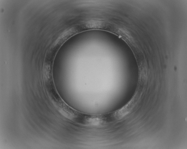 X0000068260171200604211054