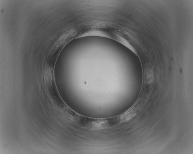 X0000068260172200604211054