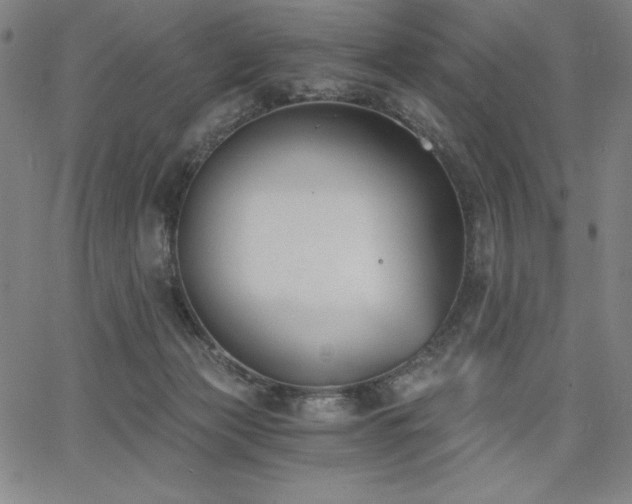 X0000068260173200604211054