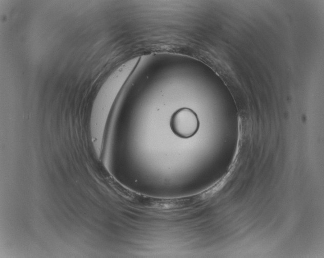 X0000068260174200604211054