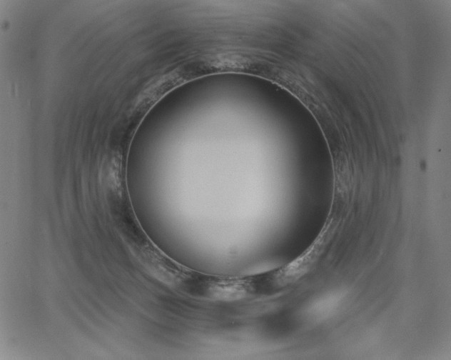 X0000068260175200604211054