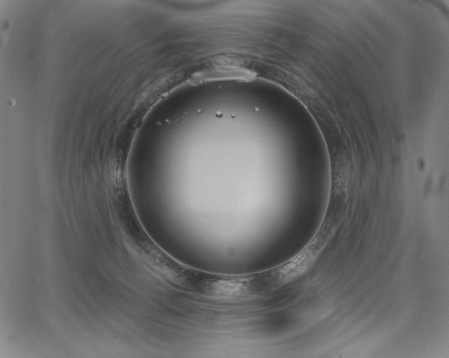 X0000068260176200604211054