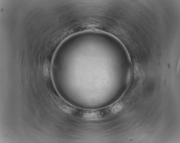 X0000068260177200604211054