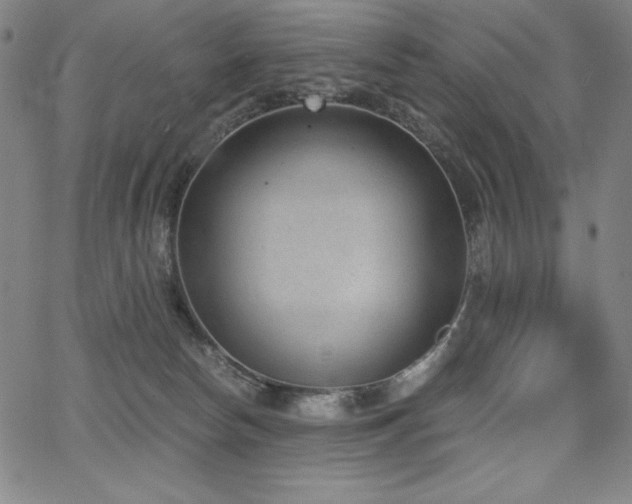 X0000068260178200604211054