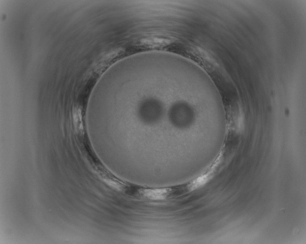 X0000068260182200604211054