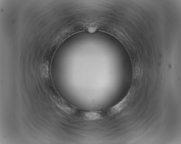 X0000068260183200604211054