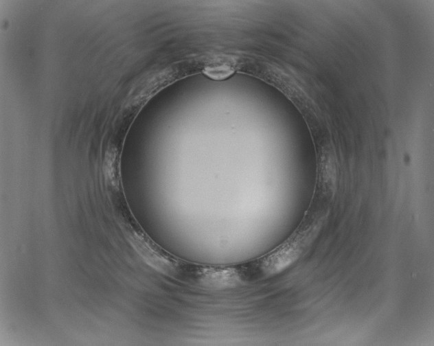 X0000068260185200604211054