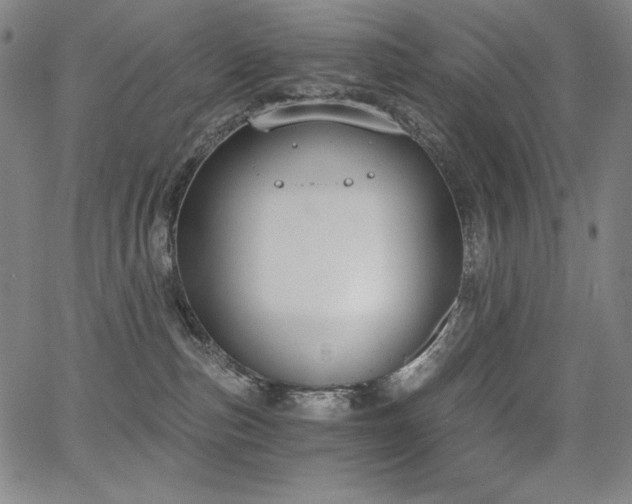 X0000068260187200604211054