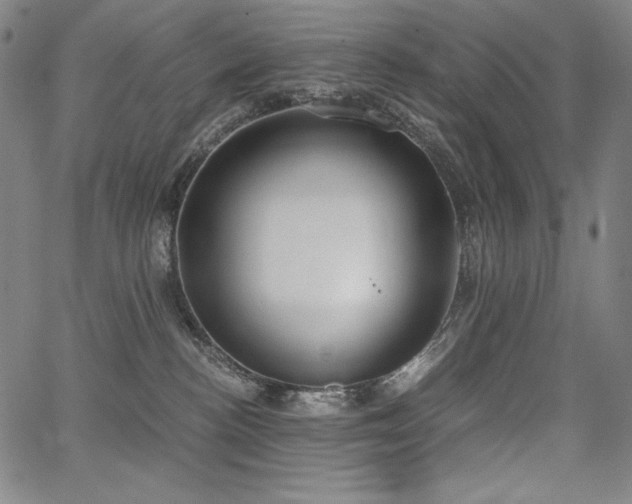 X0000068260188200604211054