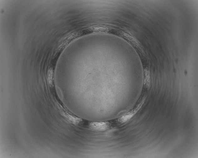 X0000068260189200604211054