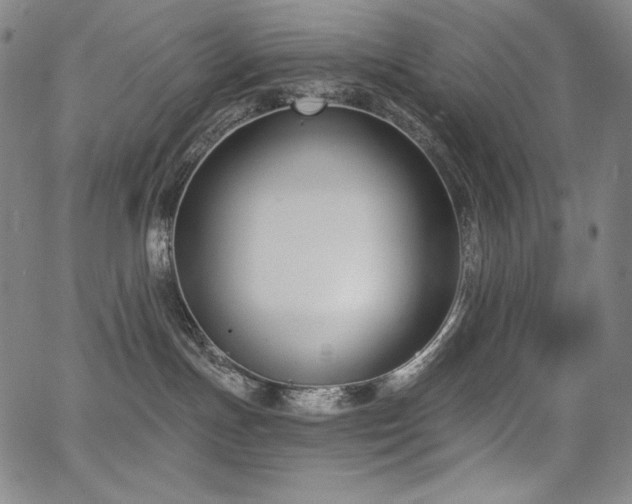 X0000068260191200604211054