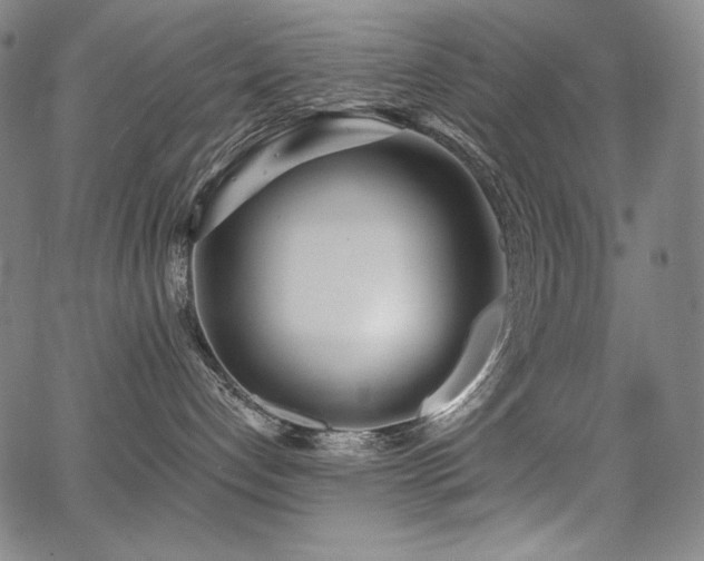 X0000068260192200604211054