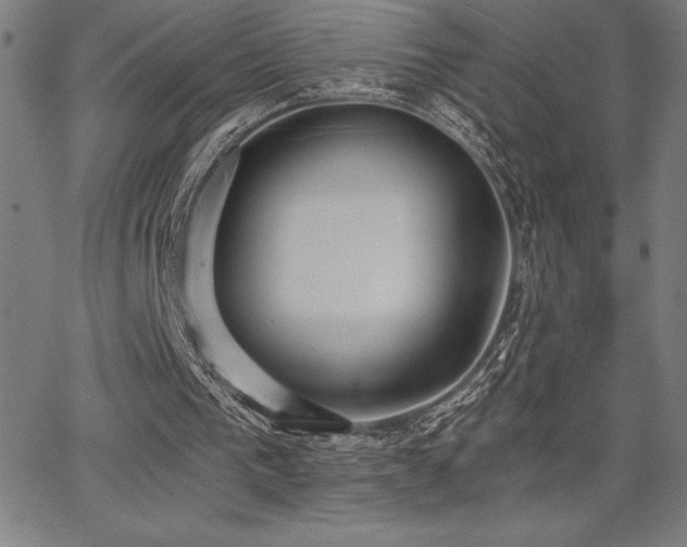 X0000068260193200604211053