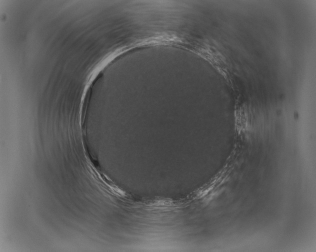 X0000068260196200604211053