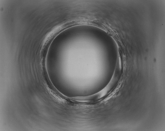 X0000068260197200604211053