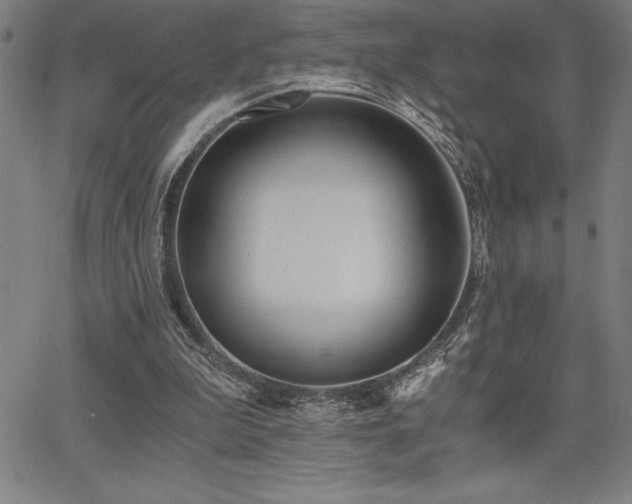 X0000068260199200604211053