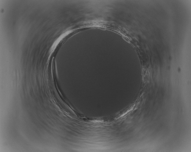 X0000068260200200604211053